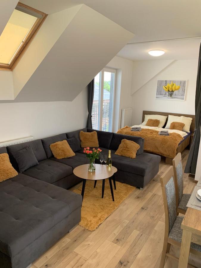 Cozy 2-Bedroom Vacation Apartment With Entire Top Floor Gaj  Екстер'єр фото